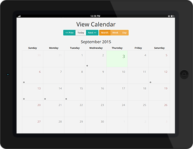 Cell Phone Monitoring: View Calendar